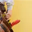 Handyman repair service in Long Beach, CA for home fixes and improvements