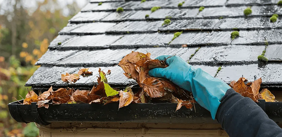 Gutter cleaning technician clearing wet leaves from roof gutters in Long Beach, CA