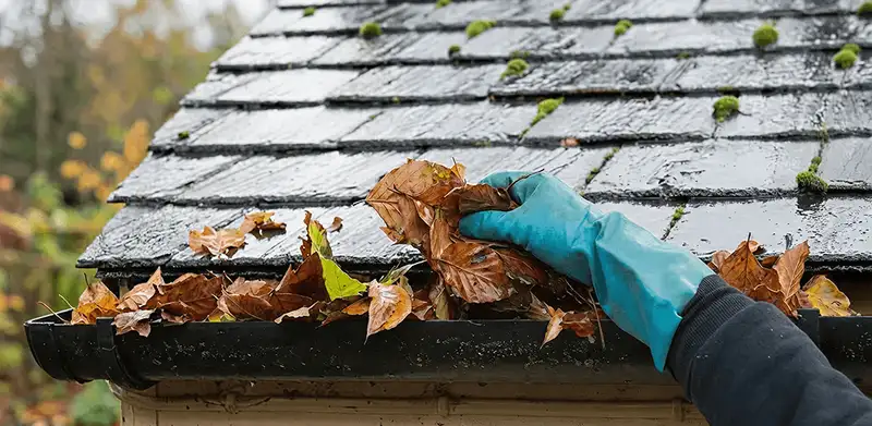 Gutter cleaning technician clearing wet leaves from roof gutters in Long Beach, CA